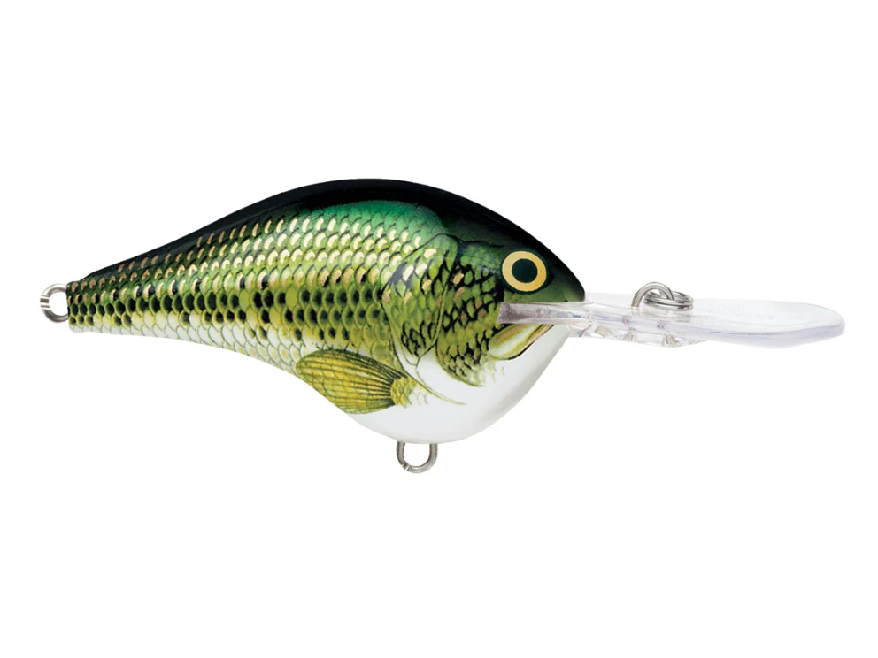 Rapala DT-16 Series Crankbaits - Angler's Headquarters