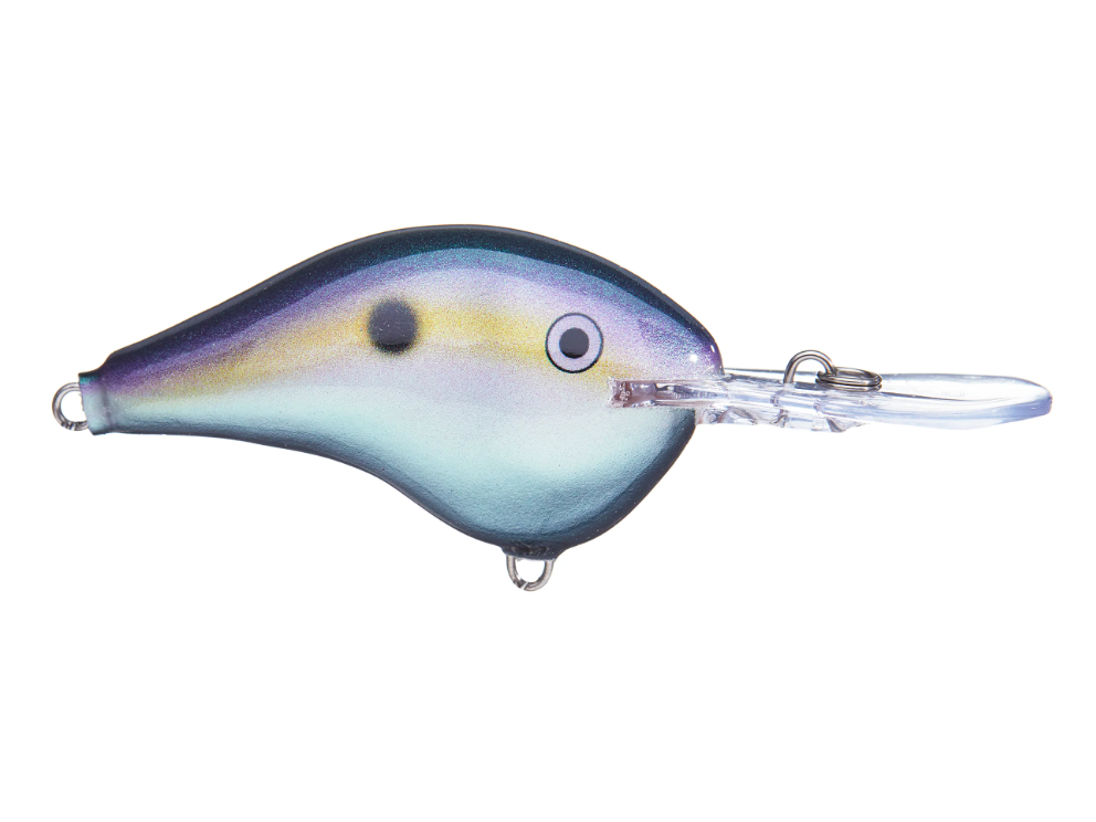 Rapala DT-16 Series Crankbaits - Angler's Headquarters