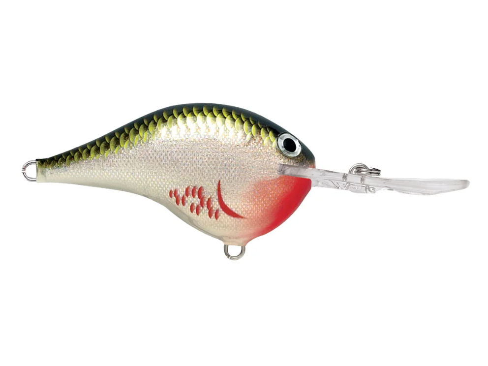 Rapala DT-16 Series Crankbaits - Angler's Headquarters
