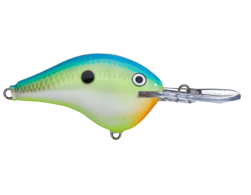 Rapala DT-16 Series Crankbaits - Angler's Headquarters