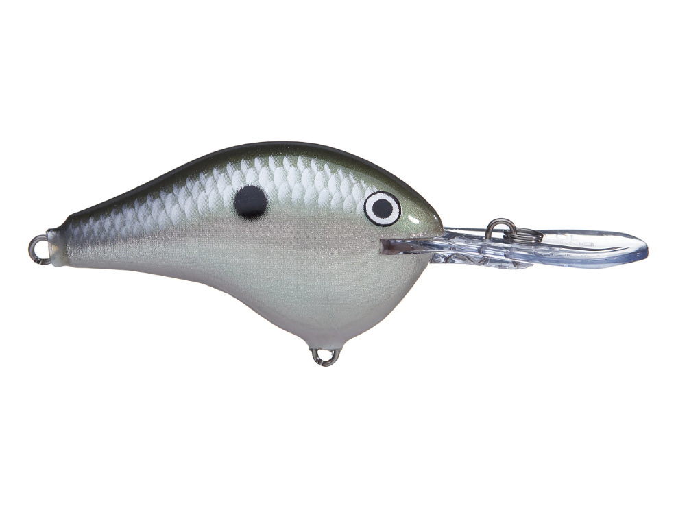 Rapala DT-16 Series Crankbaits - Angler's Headquarters