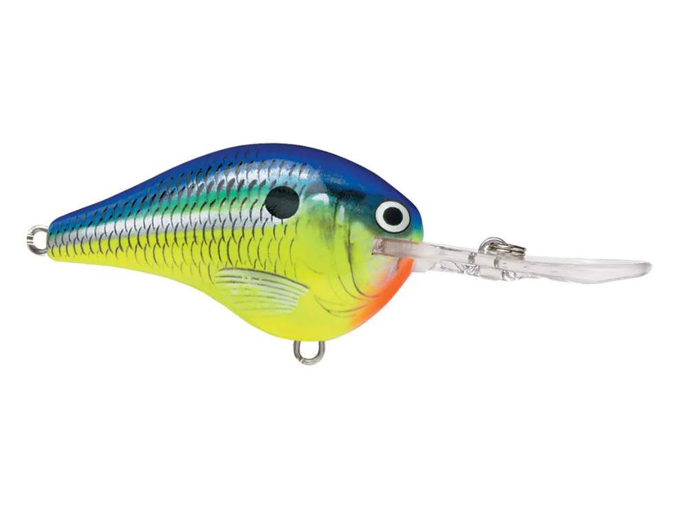 Rapala DT-16 Series Crankbaits - Angler's Headquarters