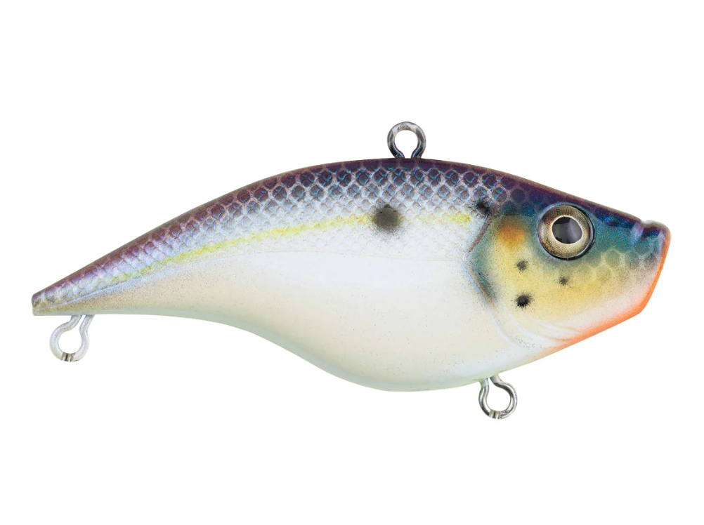 Berkley Warpig Jr. Lipless Crankbait