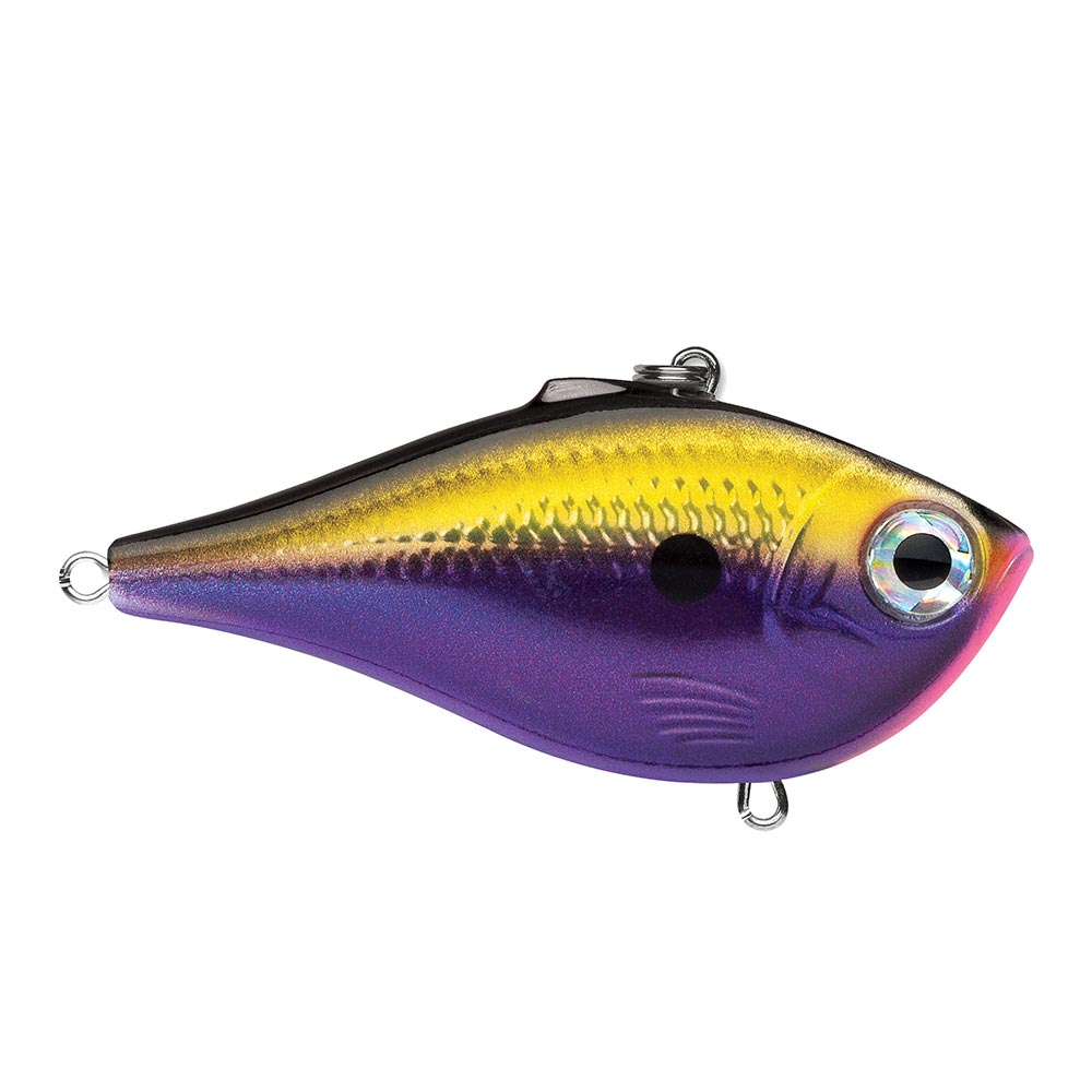 Rapala - Shadow Rap Angelköder - Angelzubehör für Süßwasser - Reaktiver und Aggressiver Kunstköder - Lauftiefe 0.7m - Fischköder 7cm, 5g - Hergestellt in Estland - Albino Shiner Rapala - Shadow Rap Angelköder - Angelzubehör für Süßwasser - Reaktiver und Aggressiver Kunstköder - Lauftiefe 0.7m - Fischköder 7cm, 5g - Hergestellt in Estland - Albino Shiner