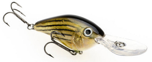 Strike King Pro-Model 8 XD - Angler's Headquarters