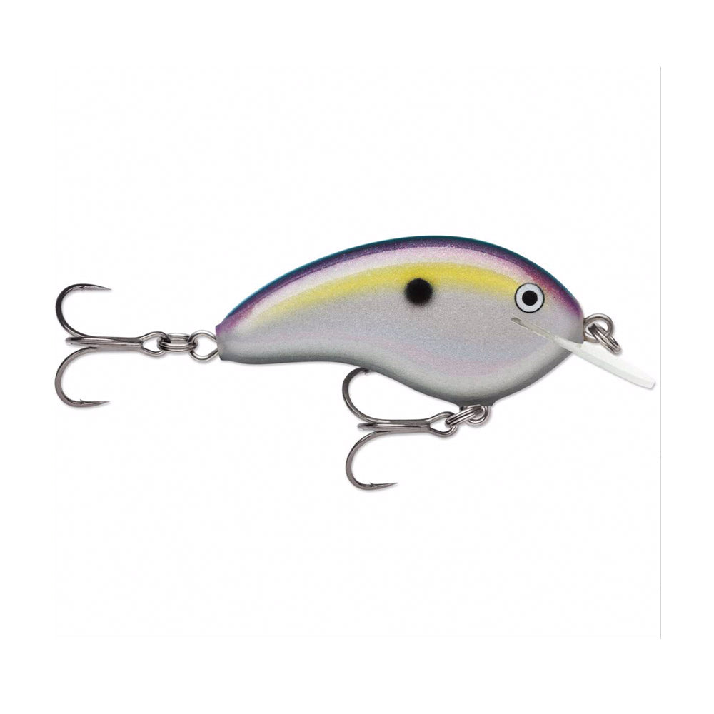 Lot De 16 Appâts Rapala Vintage - Crankbait Eau Salée - Pêche