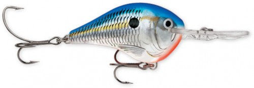 Rapala DT Series Crankbait (2") (6 ft) - Angler's Headquarters