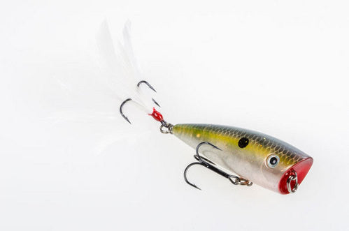 Strike King HC KVD Splash and Splash Jr. - Angler's Headquarters