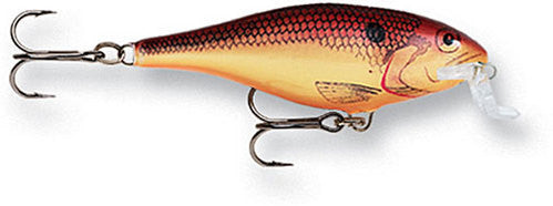 Rapala Shallow Shad Rap - Angler's Headquarters