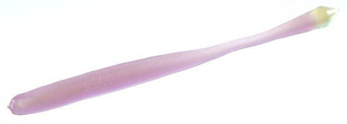 BioSpawn PlasmaTail - Angler's Headquarters