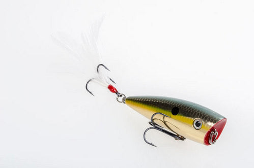 Strike King HC KVD Splash and Splash Jr. - Angler's Headquarters
