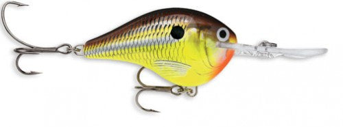 Rapala DT Series Crankbait (2") (6 ft) - Angler's Headquarters