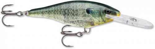 Rapala Shad Rap (Size 05) (2") - Angler's Headquarters