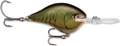 Rapala DT Series Crankbait (2") (6 ft) - Angler's Headquarters