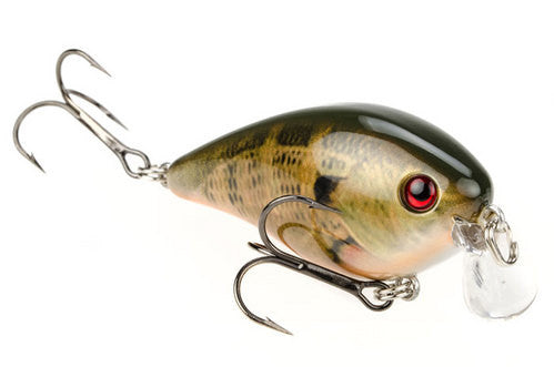 Strike King KVD HC Shallow Squarebill Crankbait - Angler's Headquarters