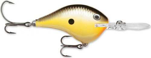 Rapala DT Series Crankbait (2") (6 ft) - Angler's Headquarters