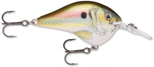 Rapala DT-16 Series Crankbaits - Angler's Headquarters