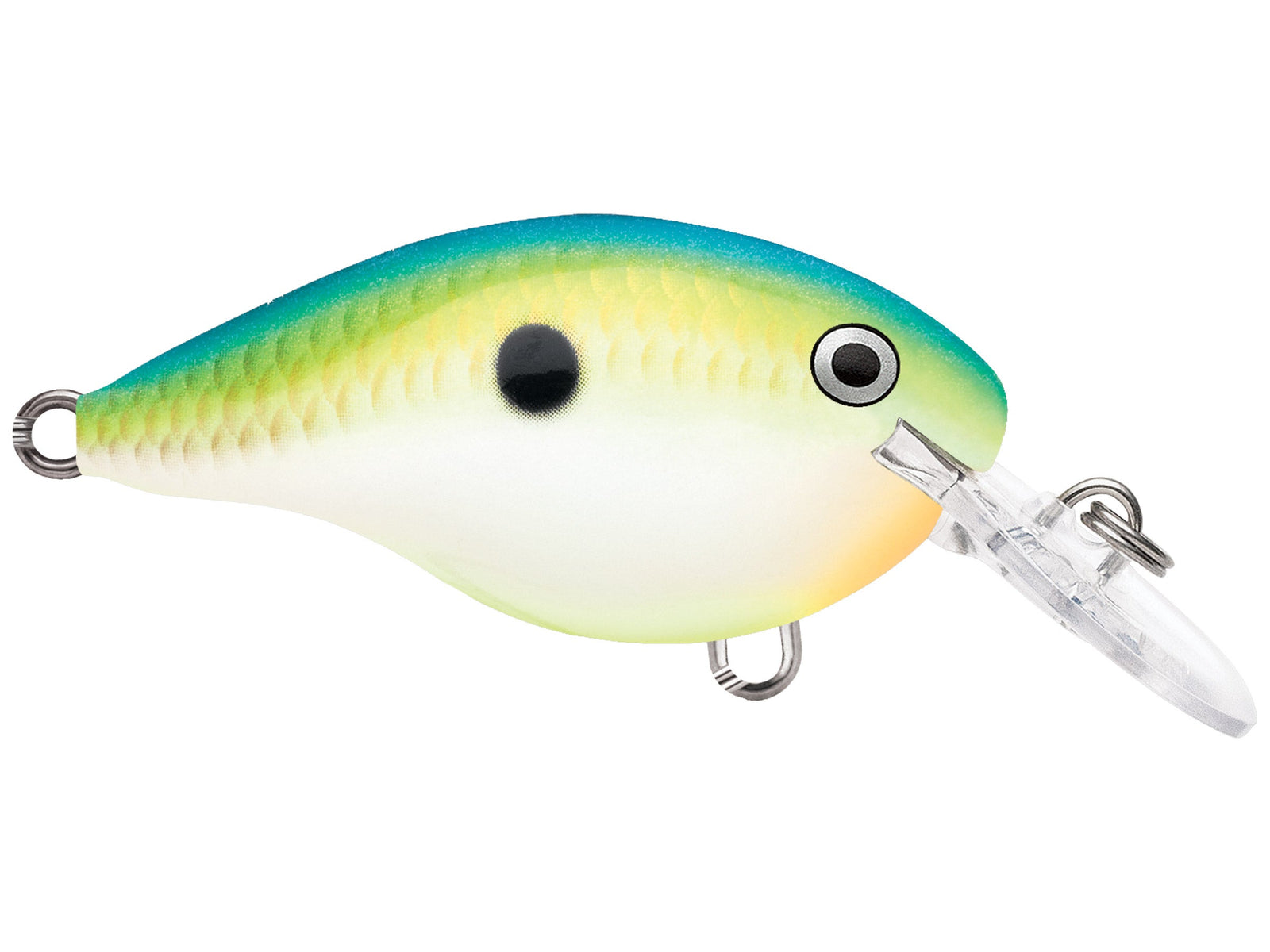Rapala DT-4 Crankbaits