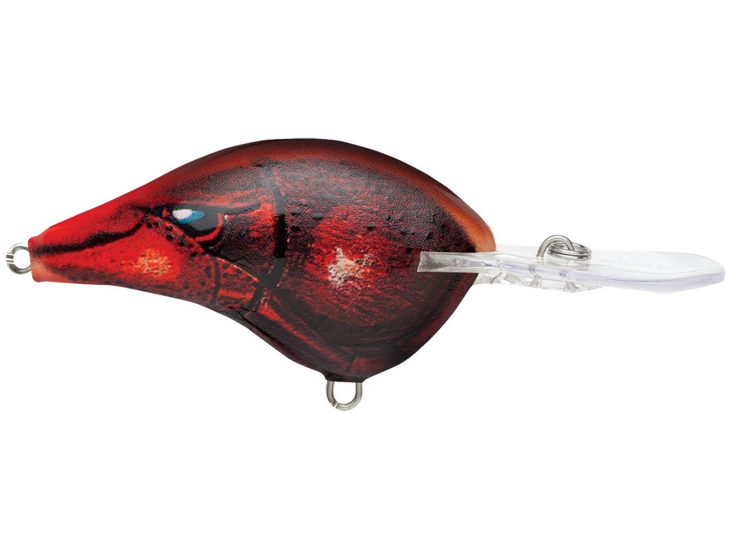 Rapala DT-4 Crankbaits