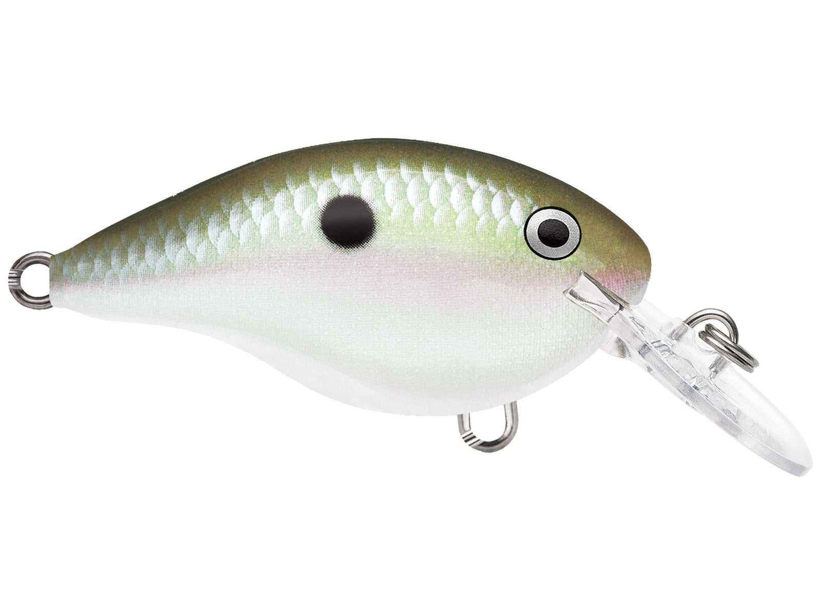 Rapala DT-4 Crankbaits
