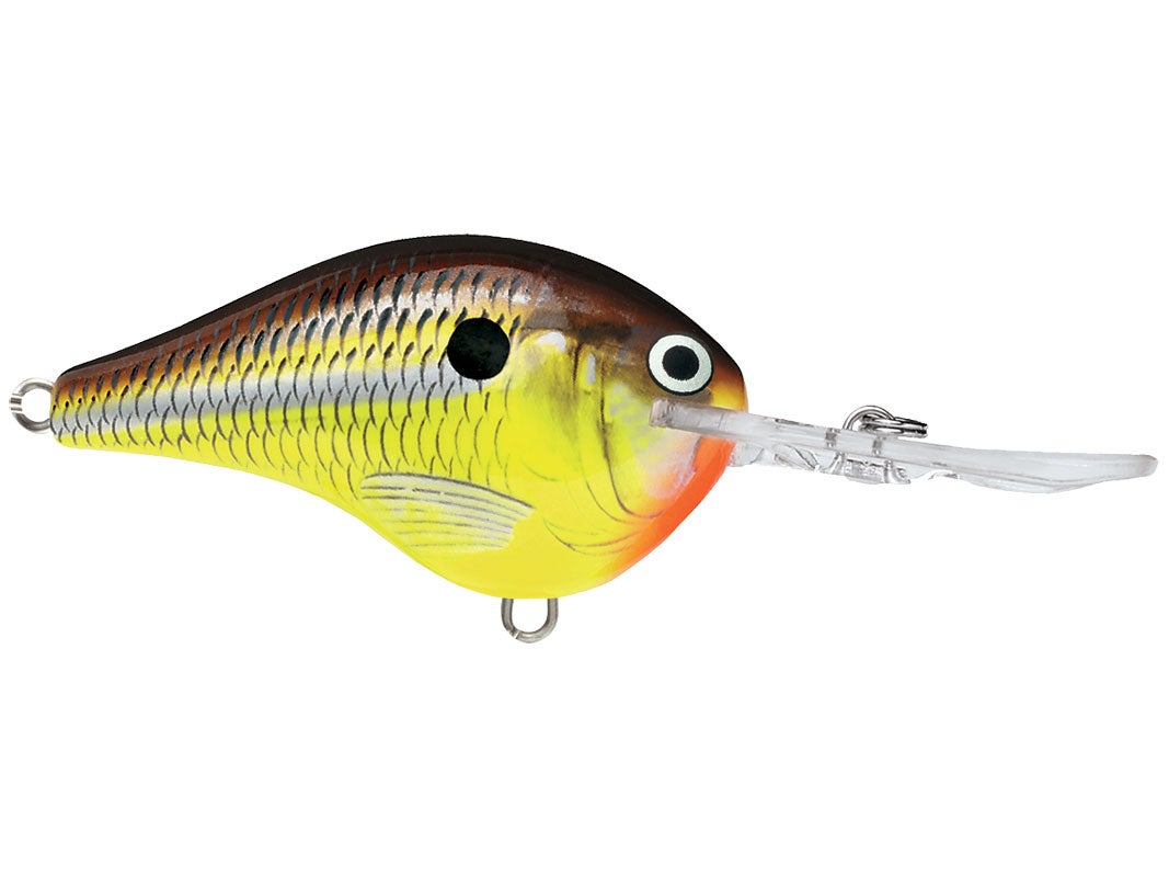 Rapala DT-4 Crankbaits