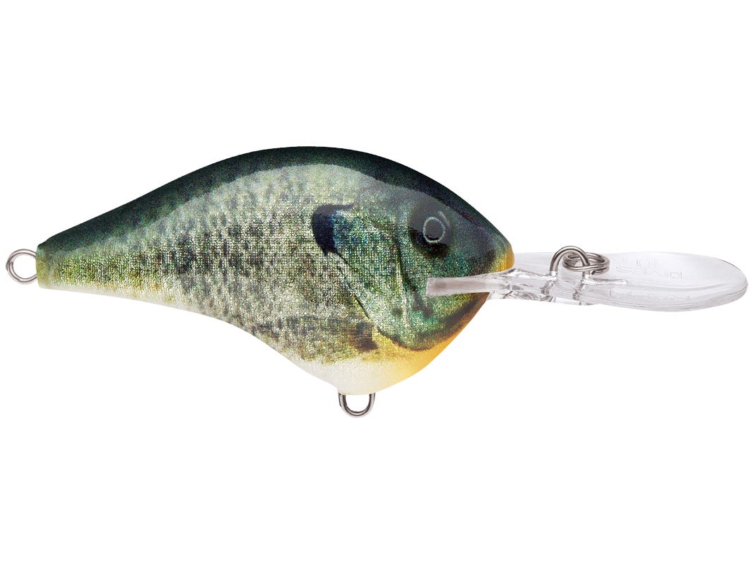 Rapala DT-4 Crankbaits
