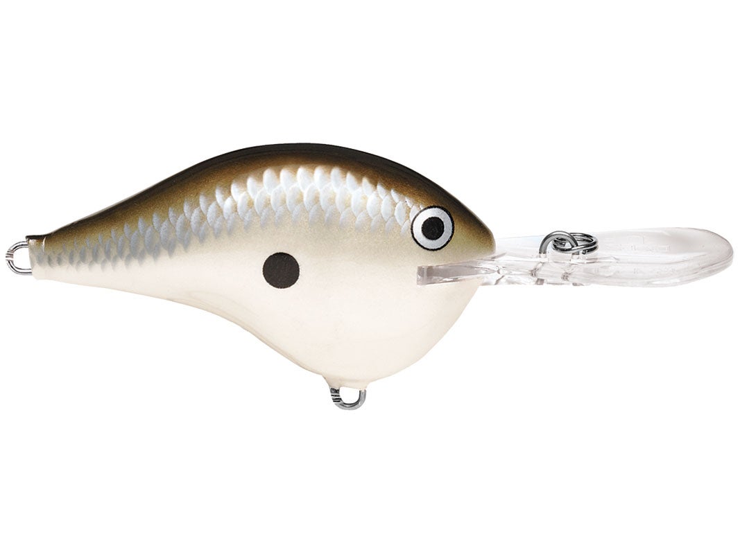 Rapala DT-4 Crankbaits