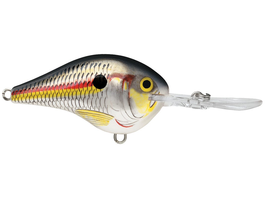 Rapala DT-4 Crankbaits