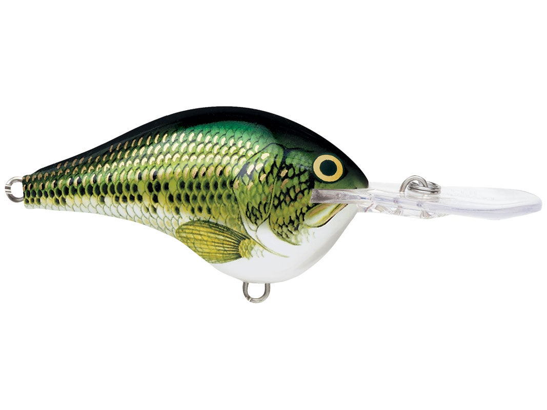 Rapala DT-4 Crankbaits