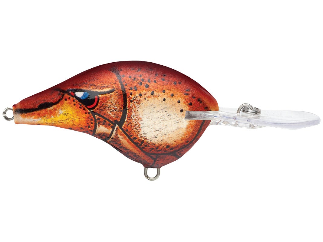 Rapala DT-4 Crankbaits