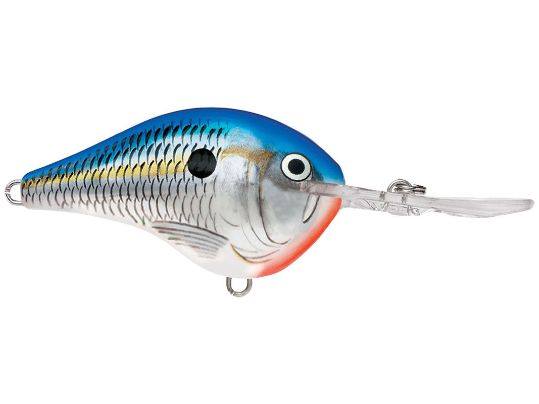 Rapala DT-4 Crankbaits
