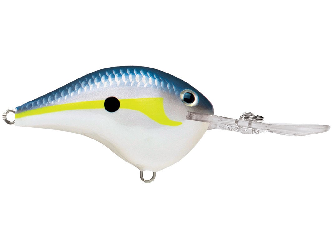 Rapala DT-4 Crankbaits