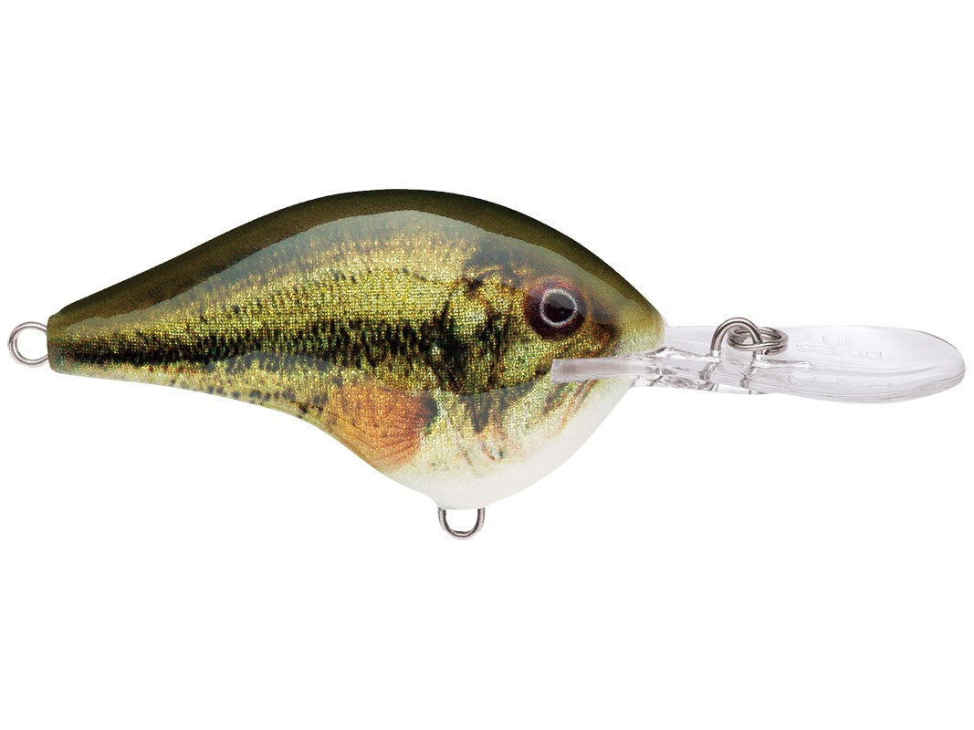 Rapala DT-4 Crankbaits
