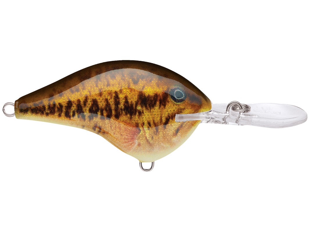 Rapala DT-4 Crankbaits