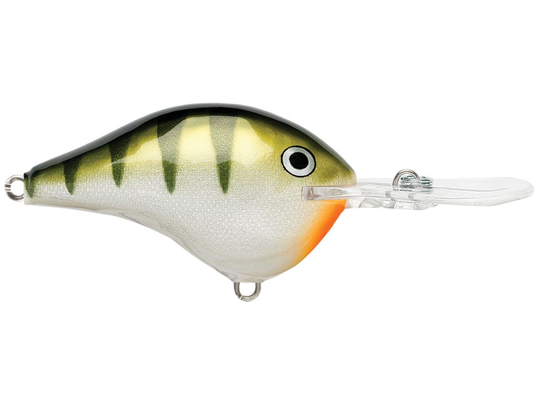 Rapala DT (Dives-To) Series · Shad