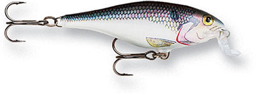 Rapala Shallow Shad Rap - Angler's Headquarters