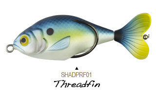 Lunkerhunt Prop Fish Shad - Angler's Headquarters