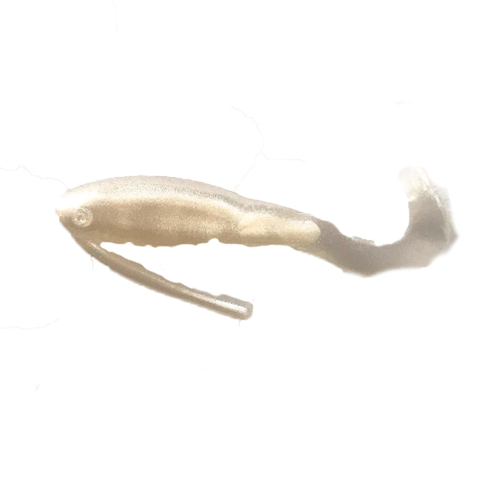 Crappie Day Shad Twister (6 pk) - Angler's Headquarters