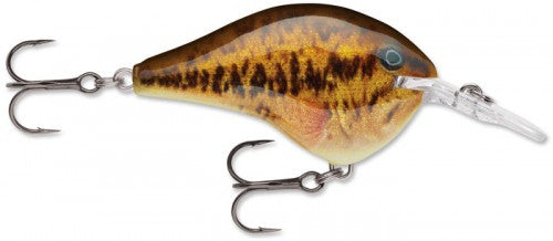 Rapala DT Series Crankbait (2") (6 ft) - Angler's Headquarters