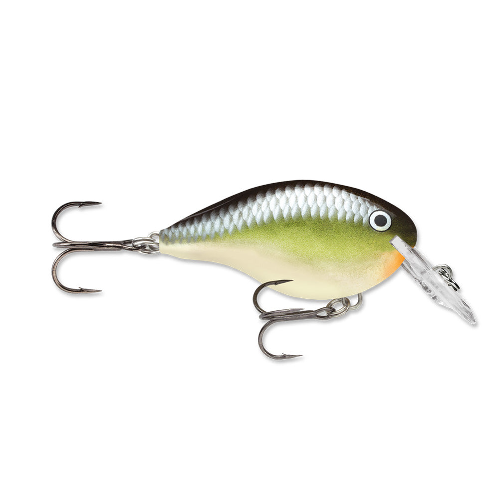 Rapala DT-4 Crankbaits
