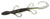 Zoom Lizards (6 inch- 9 Pack) - Angler's Headquarters